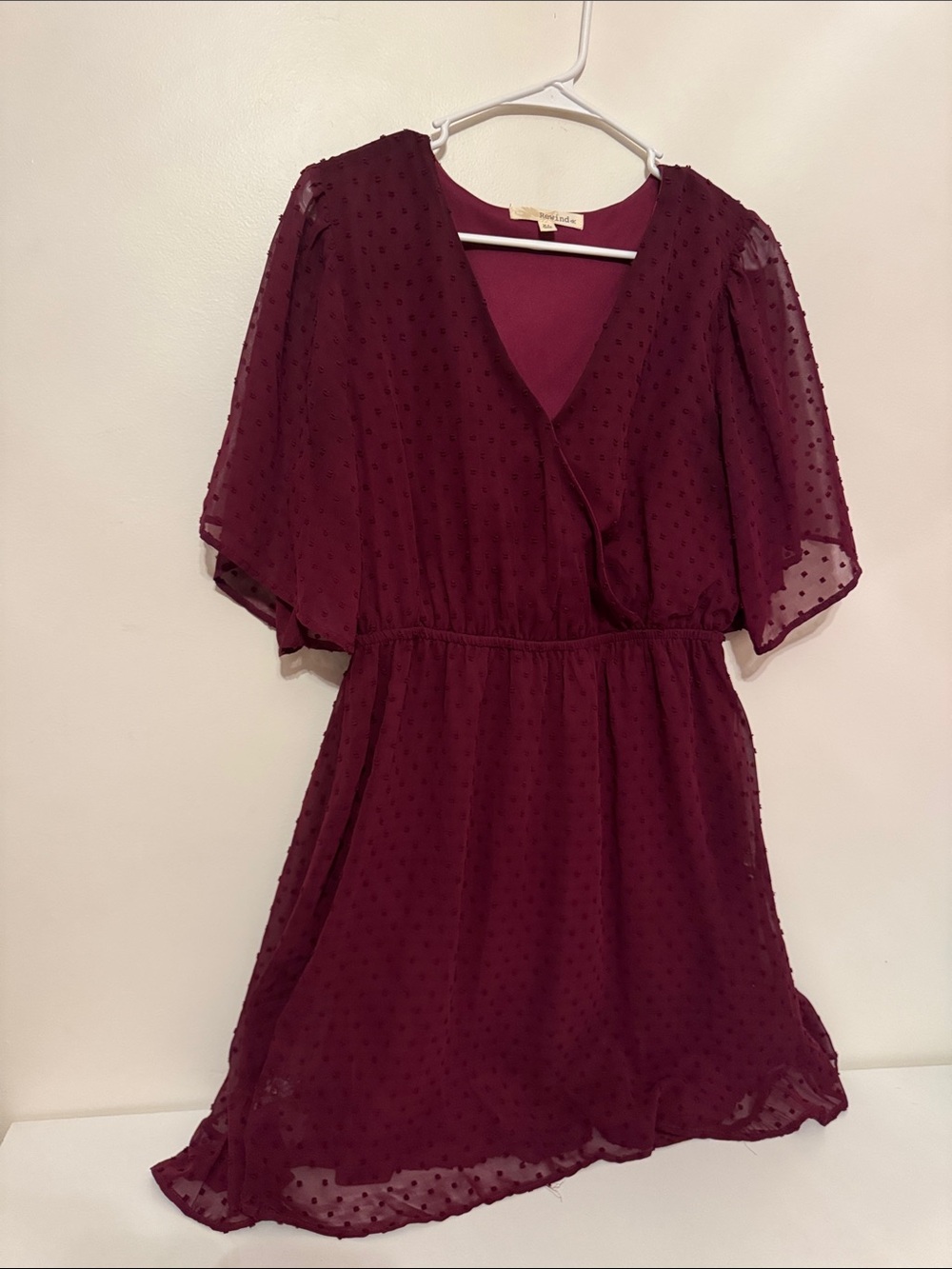 Rewind Burgundy Swiss Dot V-Neck Mini Dress